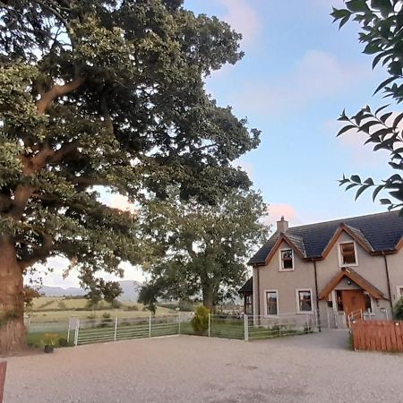 Oaktree Manor Castlewellan Exterior foto