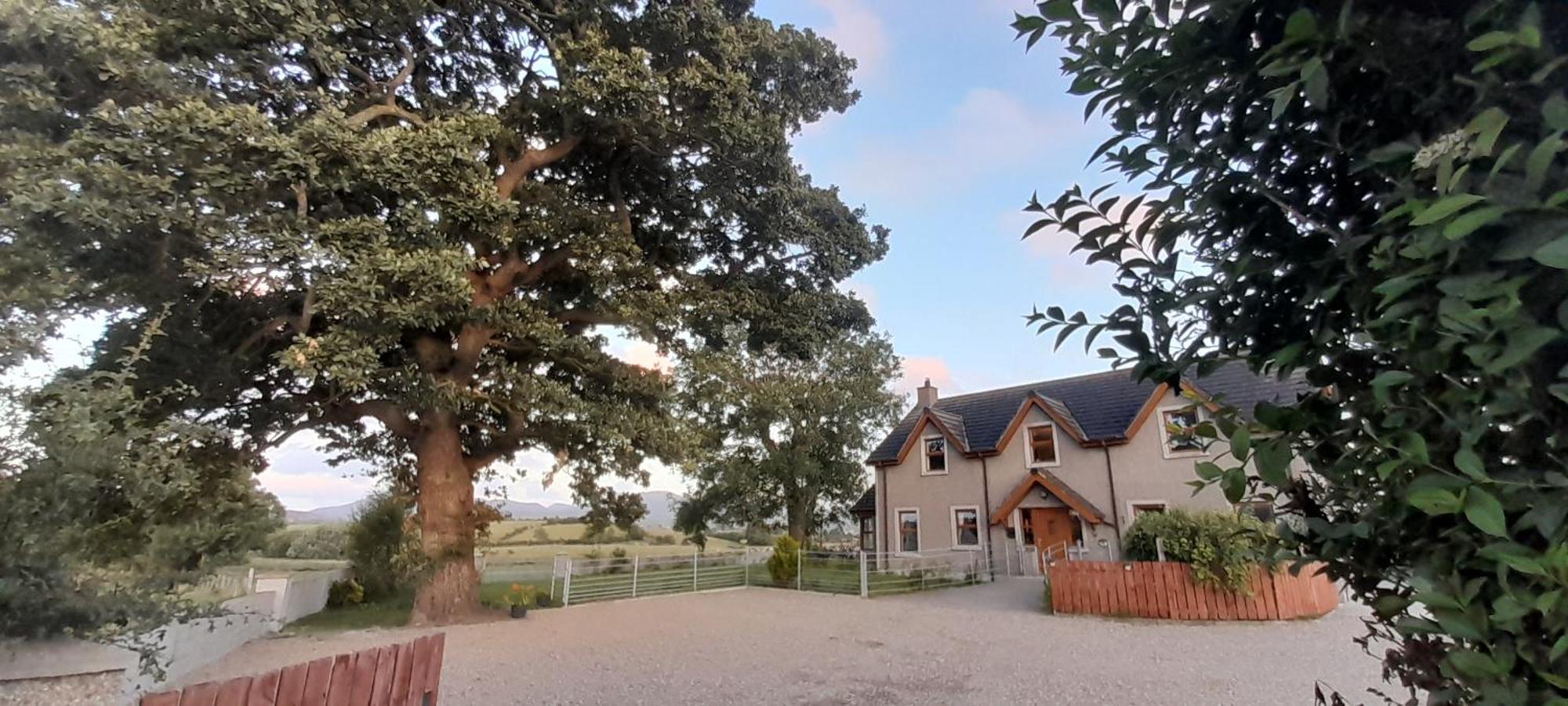 Oaktree Manor Castlewellan Exterior foto